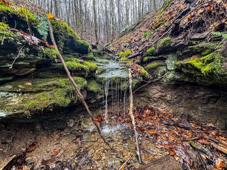Mountaintop Retreat: Your Own Private Wilderness