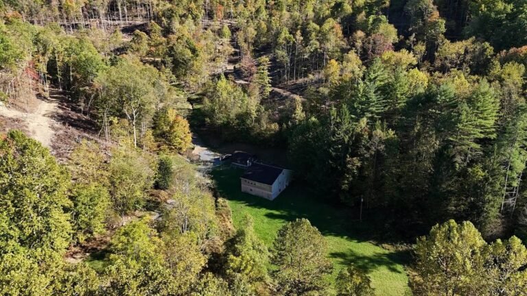 Charming Property with Acreage in Sutton, West Virginia