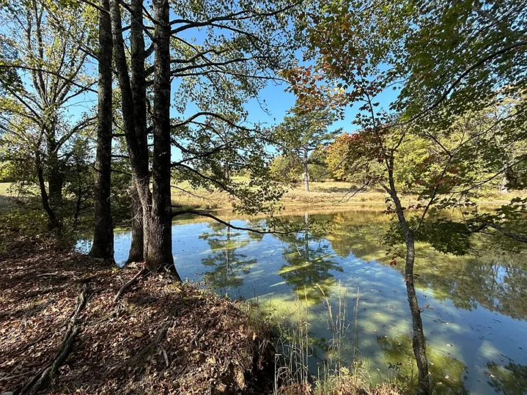 27-Acre Property Auction: Near Mulberry River & National Forest $150,000
