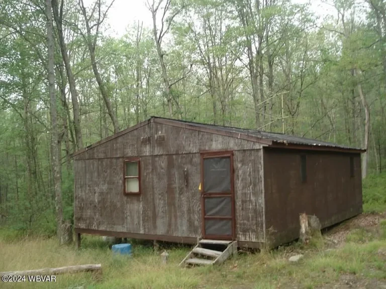 Mountain Retreat Awaits! Secluded Cabin in Beech Creek Mountain. $105,000 2 bd 1 ba