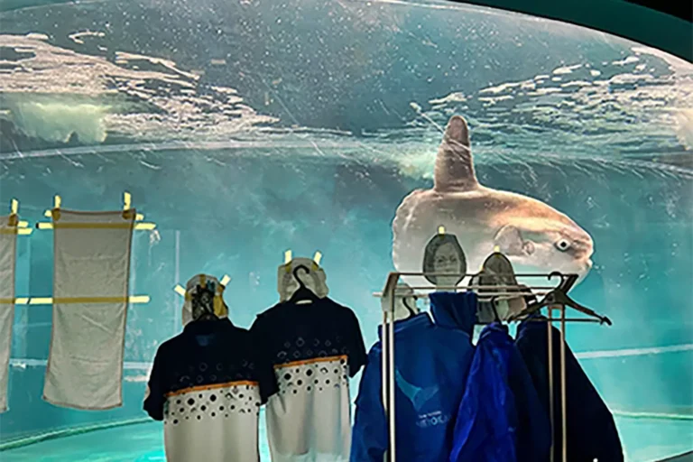‘Lonely’ Sunfish Comforted by Cardboard Cutouts of People After Aquarium Closes Due to Renovations