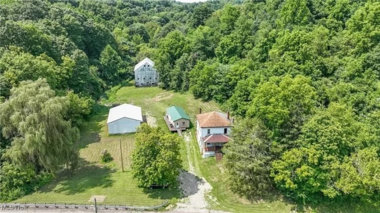 New Cabin for Sale in Beallsville, Ohio