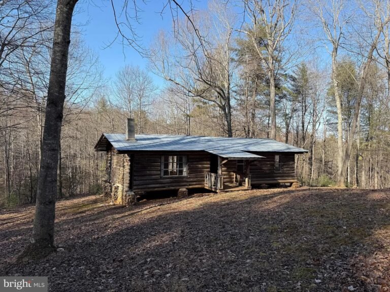 41.8 Acres with Rustic Cabin in Ferrum, Virginia