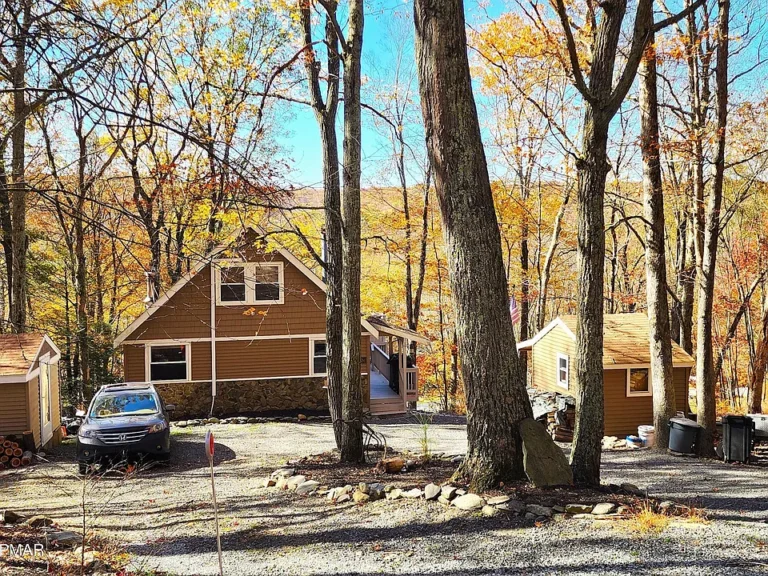 Charming, Fully Furnished Cabin with Upgrades and Guest Cottage
