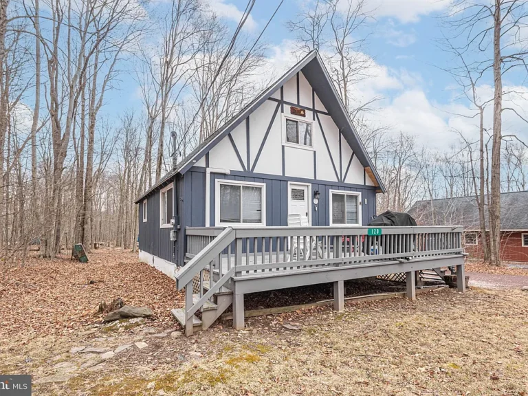 Charming Mountain Alpine Chalet in the Gold Star Community of Arrowhead Lakes $225,000
