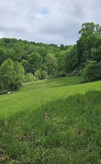 This property offers a fantastic opportunity for those seeking a blend of convenient living and rural charm. Here’s a breakdown of what makes it appealing: $165,000