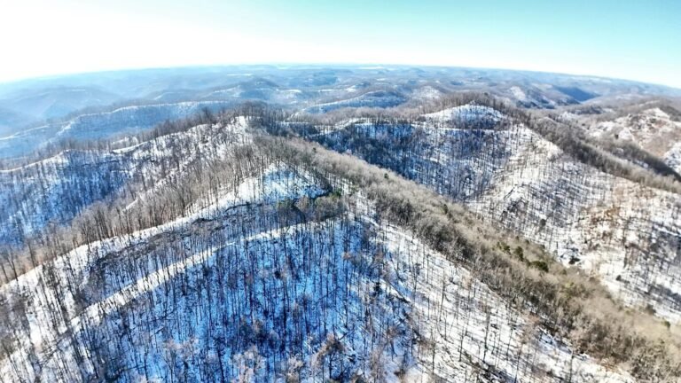 126 Acres of Hunting Land in Wooton, Kentucky