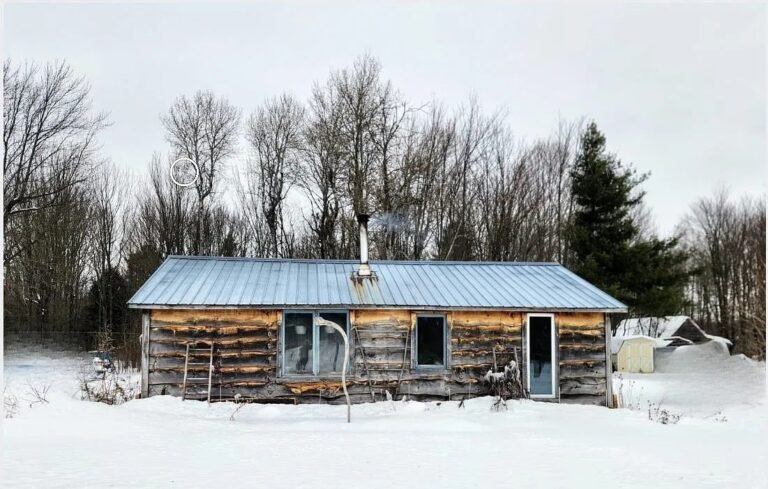 3-Bedroom Cabin on 63.4 Acres in Winthrop, New York