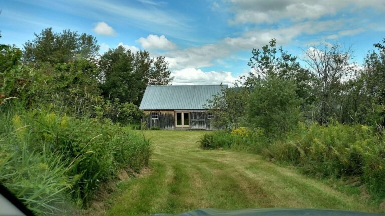 Rustic Cabin on 95.3 Acres for Sale in Holland, Vermont