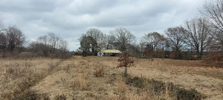 3-Bedroom Home on 3.44 Acres for Sale in McCrory, Arkansas