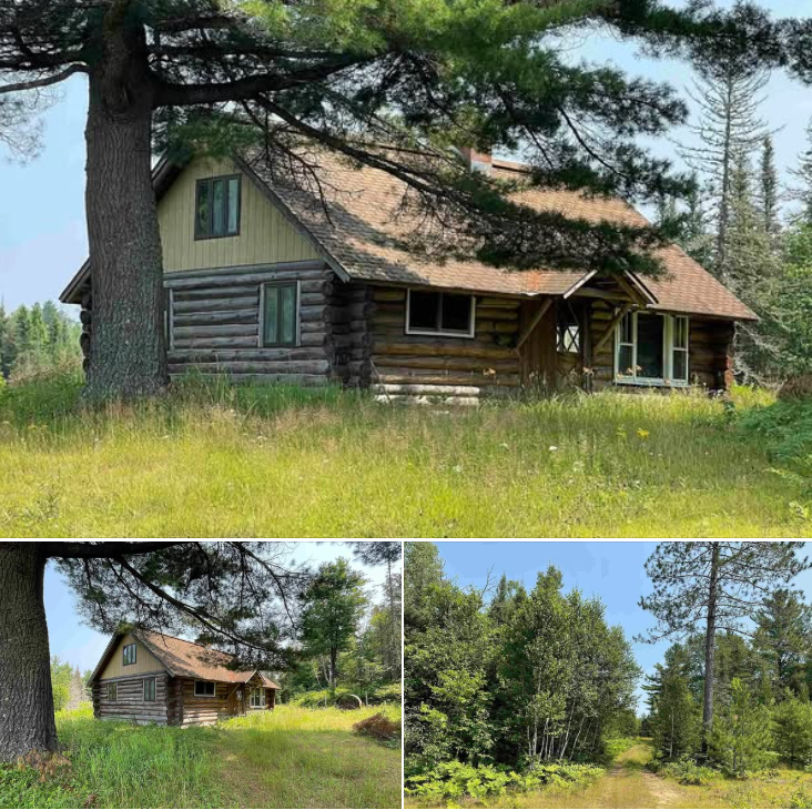 “Charming 2-Bedroom Log Cabin on 100 Acres for Sale in Covington, Michigan”