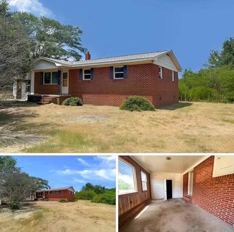 3-Bedroom Brick Home on 4.68 Acres in a Secluded Location – Priced at $69,900