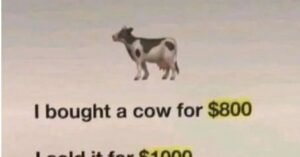 Cow math puzzle: Are you smart enough to solve it? – 24/7