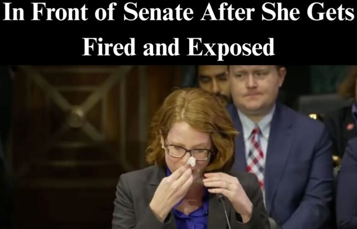 J6 Prosecutors Brag To Congress About Locking Up Americans For Misdemeanors