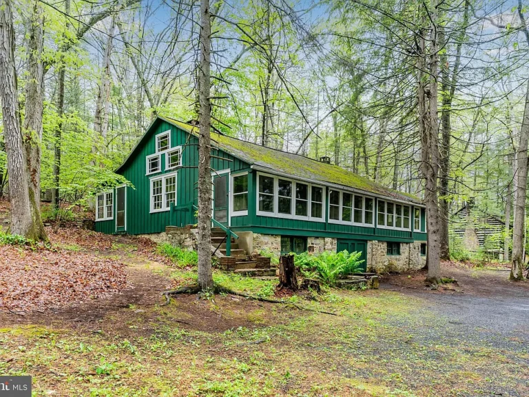 Fixer-Upper Cabin Across from Caledonia Golf Course – Endless Potential! 2 Bed | 1 Bath | Vaulted Ceiling | Stone Hearth | Prime Location $47,500