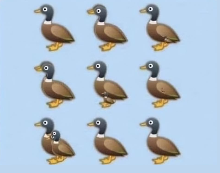 How many ducks are in the picture? The viral challenge sweeping the internet, explained