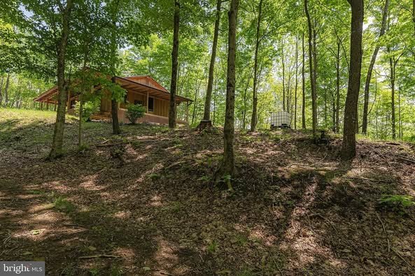 Off-Grid 2-Bedroom Cabin on 41.7 Acres in Summersville, West Virginia