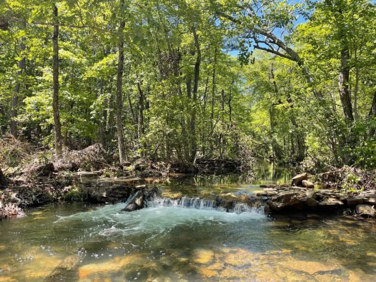 Off-Grid Mountain Cabin on 40 Acres in Clayton, Oklahoma