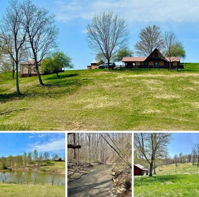 12.9 Acres with Off-Grid Cabin in Inchelium, WA – Adventure Starts Here!