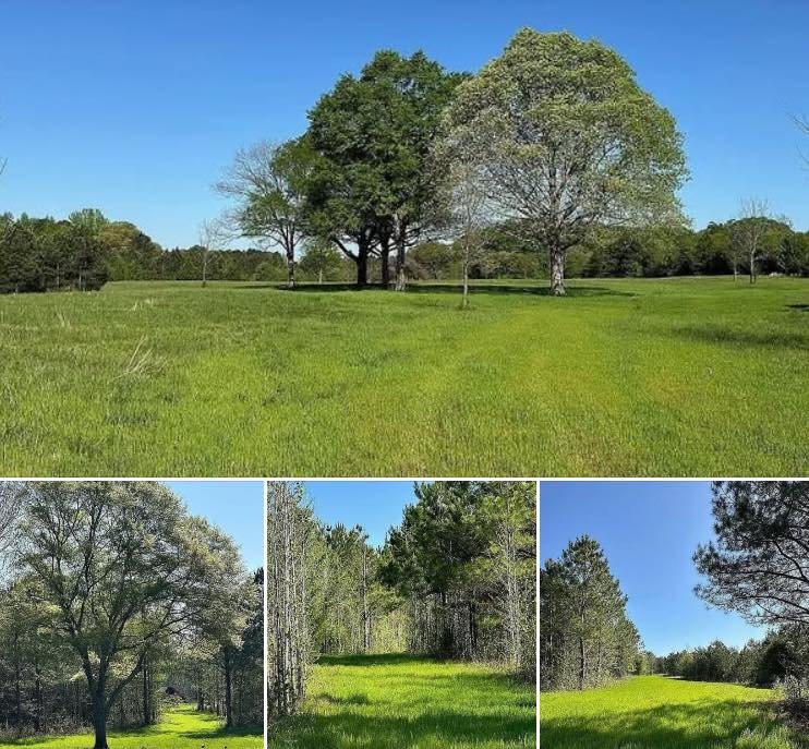 “Spacious 141-Acre Property for Sale in Concord, Georgia”