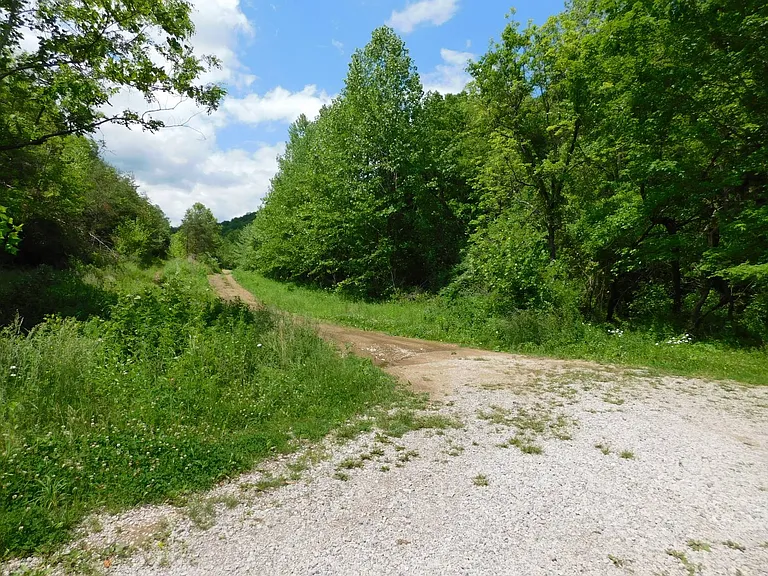 Discover 175 acres of prime recreational and hunting land just minutes from the scenic backwaters of Paintsville, Kentucky. $175,000