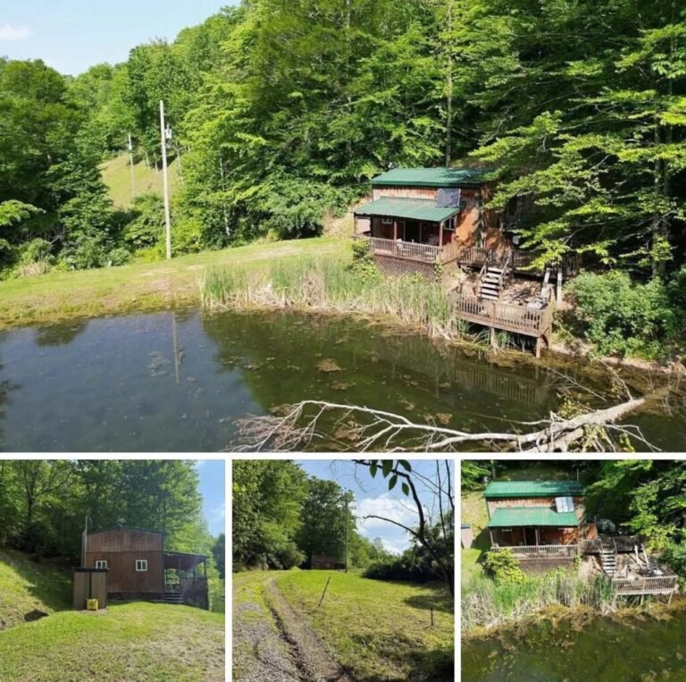 Charming 1-Bedroom Off-Grid Cabin on 10 Acres in Hazard, Kentucky