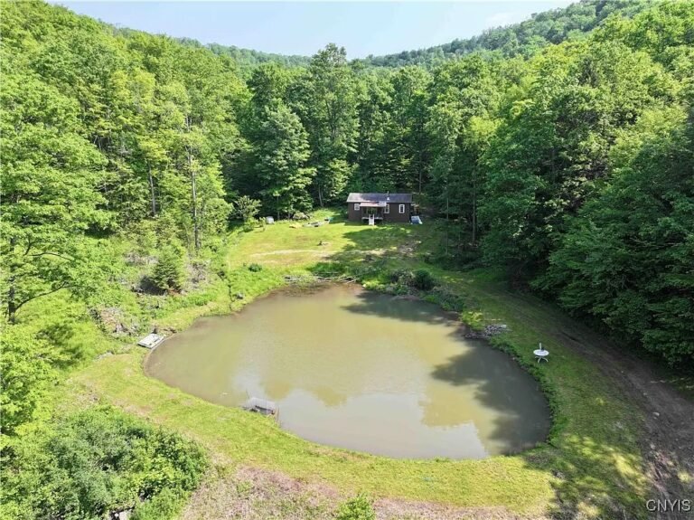 30 Acres with Cabin and Pond in Olean, New York