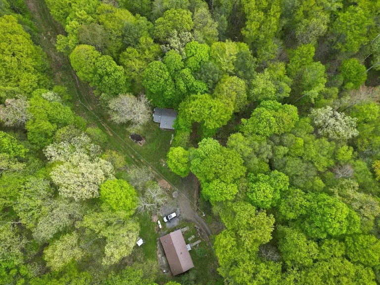 Auction: 2-Bedroom Home with Workshop & Barn on a Private Scenic Lot $79,000