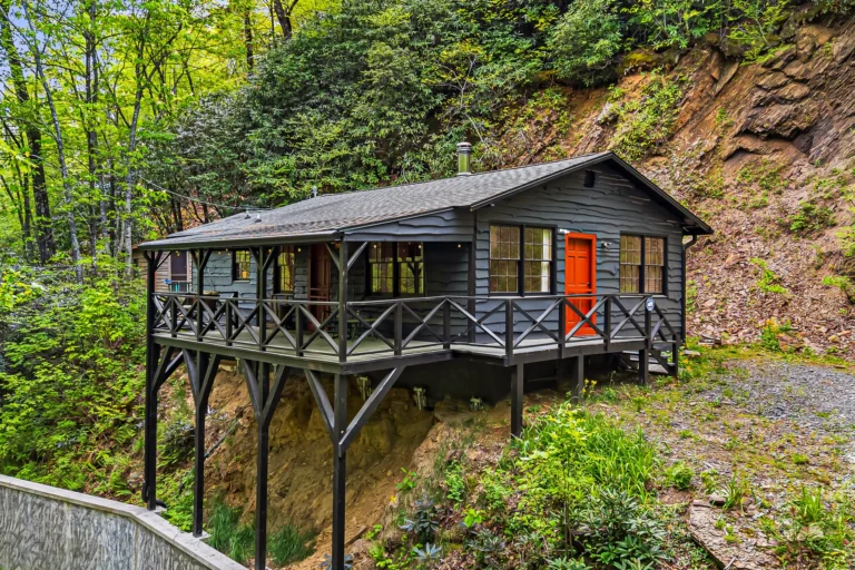 Cozy Mountain Retreat Minutes from Downtown Black Mountain!  2 Bedrooms | 1 Bathroom | 1.6 Acres $250,000