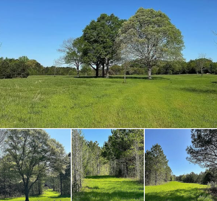 Large 141-Acre Property for Sale in Concord, GA