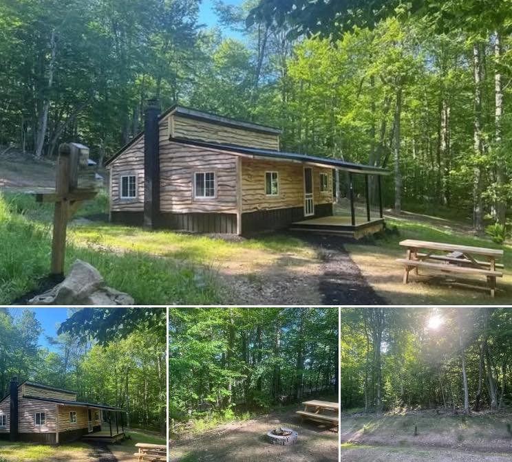“Charming 2-Bedroom Cabin on 3 Acres Available in Wellsville, New York”