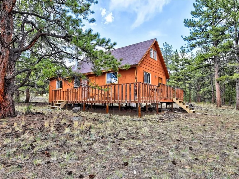 Your Private Colorado Mountain Escape | 490 Teller Street, Lake George, CO $250,000