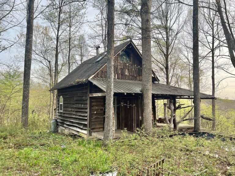 250 Acres of Hunting Land with Cabin in Harmony, West Virginia
