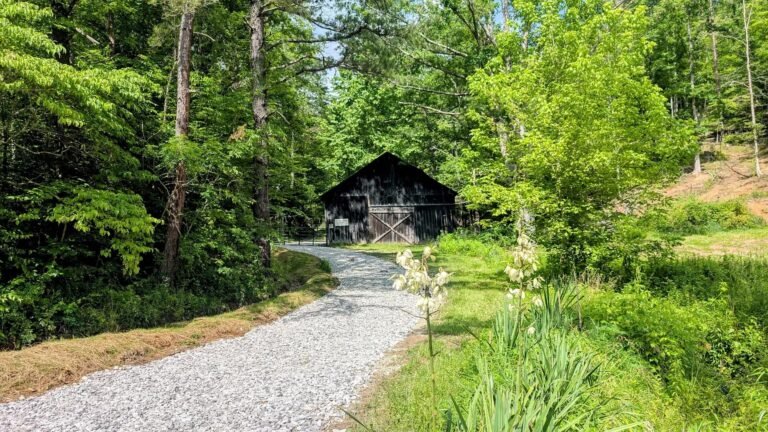 3 Bedroom Cabin on 24 Acres in Annville, Kentucky