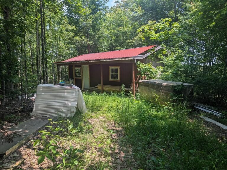 Off-Grid Cabin and 50 Acres for Sale in Olive Hill, Kentucky