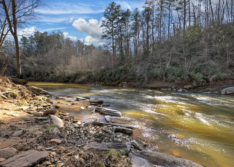 Custom-Built Cabin on 5 Private Acres with 270+ Ft of Creek Frontage on Talking Rock Creek