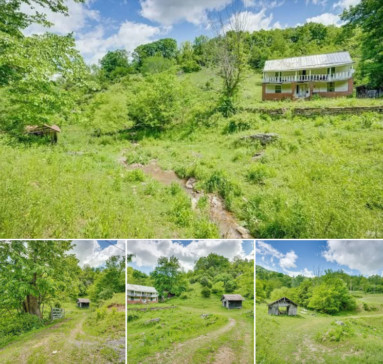 Explore 120 Acres of Prime Scenic Land for Sale in Lebanon, VA