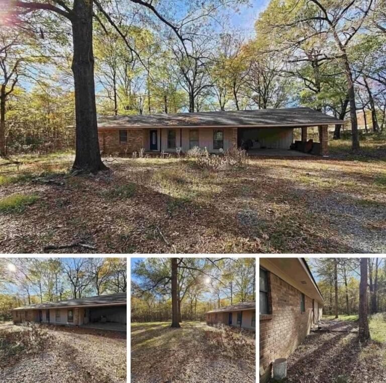 4.41 Acres with Fixer-Upper Home for $45,000 – Excellent Investment Opportunity
