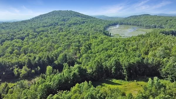 114 Acres of Secluded Timberland with Mountain Views in Hartford, Maine