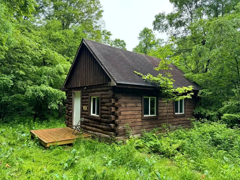 Rustic Off-Grid Retreat on 11 Wooded Acres – Backs to State Forest!  $109,995