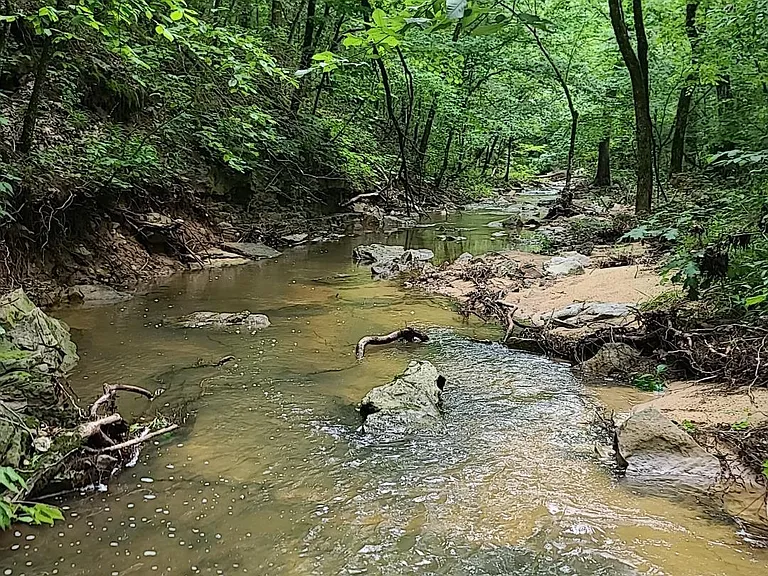 The Calico Creek 80 is your secluded Ozark getaway located just west of Pineville, Arkansas. $140,000