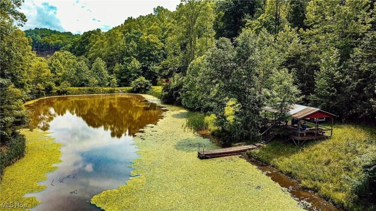 53 Acres with Stocked Pond and Hunting Land in Walker, West Virginia