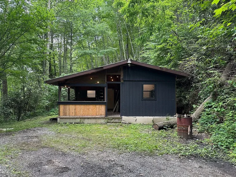Rustic Mountain Cabin on 3 Acres with Rushing Creek – Private, Peaceful & Full of Potential  $185,000