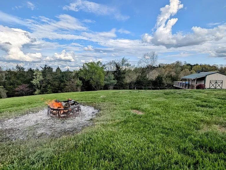 29.5 Acres of Scenic Countryside Living | Hunting, Trails, and Endless Views   $185,000