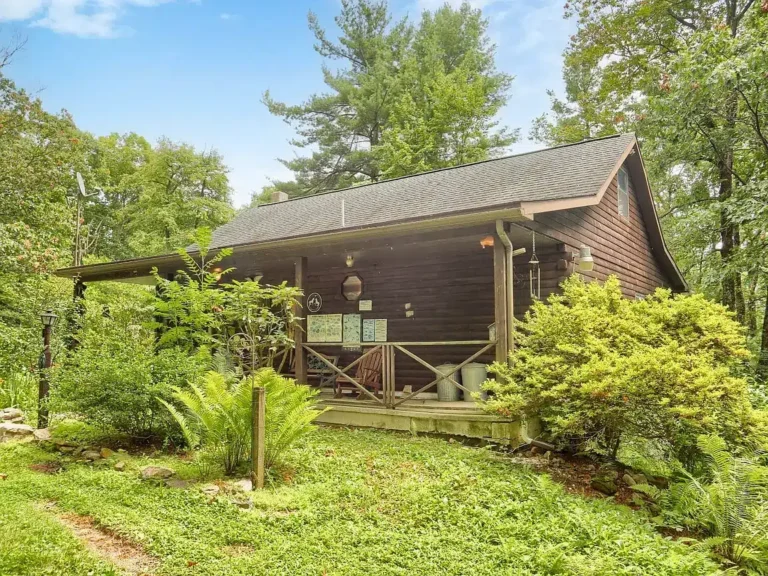 Secluded Cabin on 22 Acres – Real Estate Sealed Bid Auction