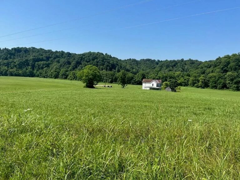133 Acres with Creek and Woods for Sale in Burkesville, Kentucky