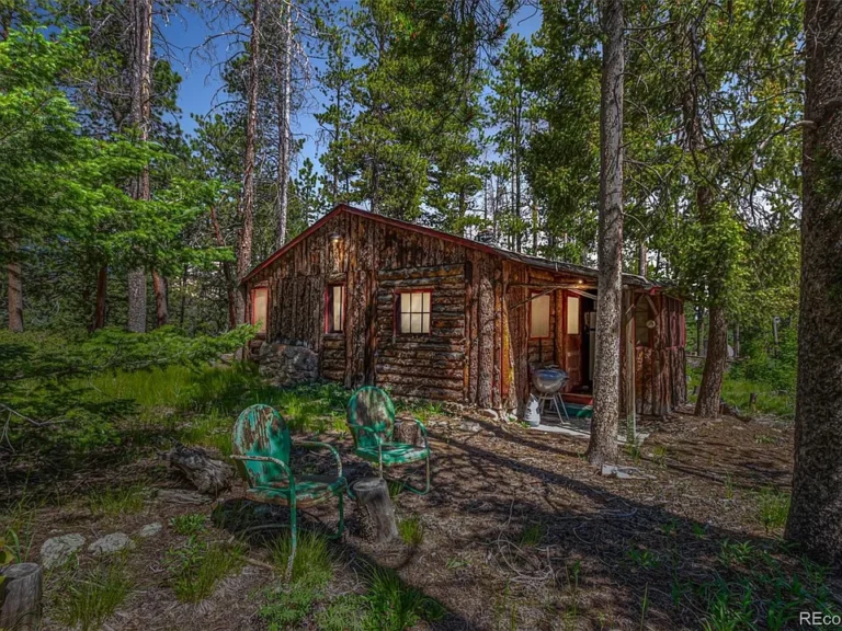Discover peace, privacy, and mountain charm with this single-story 1-bedroom cabin tucked away on 1/3 acre (feels even larger!) surrounded by majestic pines and tranquil natural beauty. $115,000