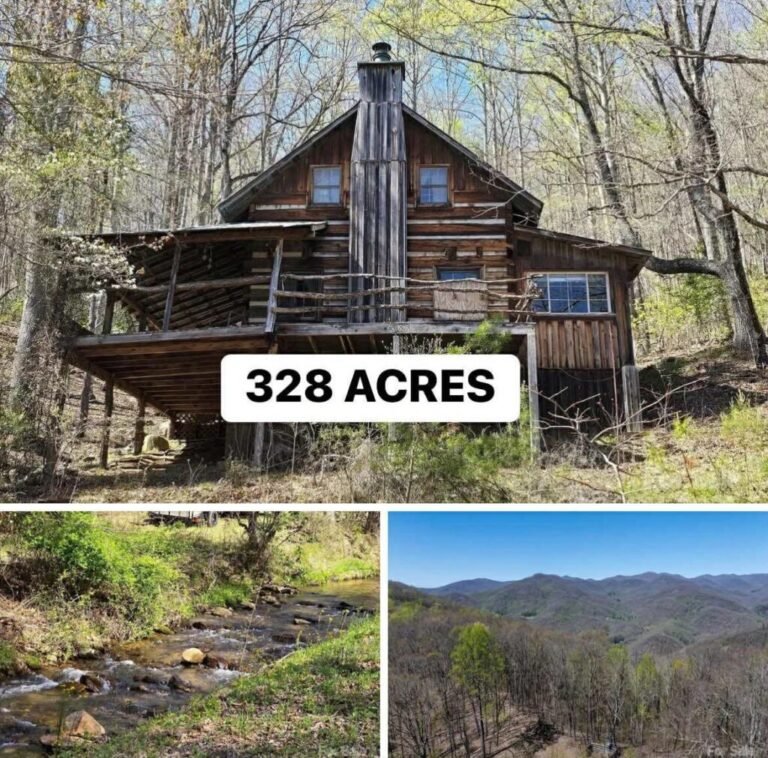 Brown Mountain Retreat on 328 Acres of Scenic Appalachian Land
