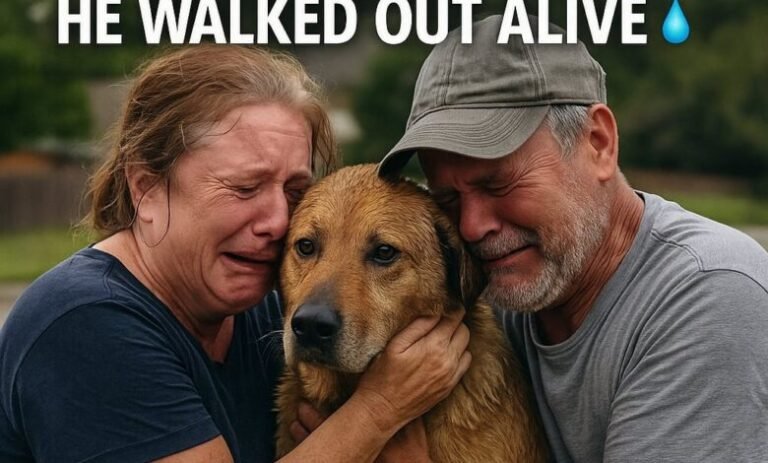 A Miracle Amid the Flood, Family Reunites with Lost Dog in Texas