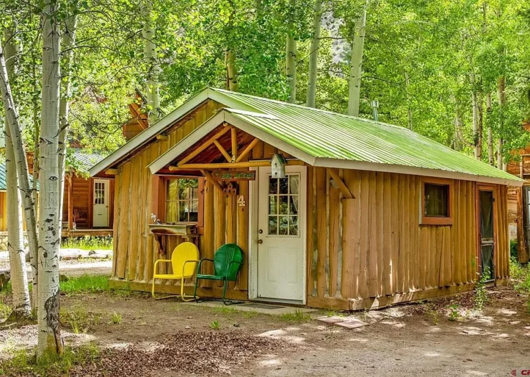 Cozy Riverfront Cabin in the Heart of Lake City, Colorado! ️ $156,000